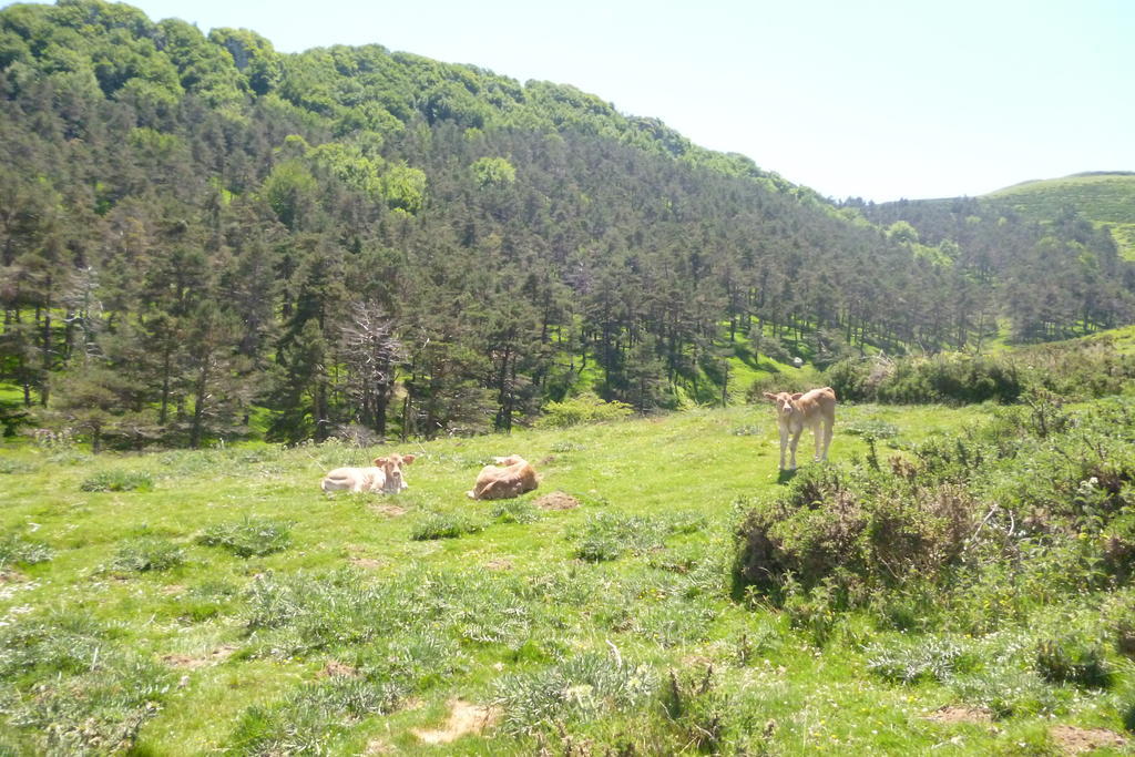 Hostal Betelu 외부 사진